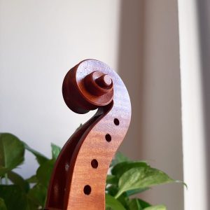Violin scroll after ground application