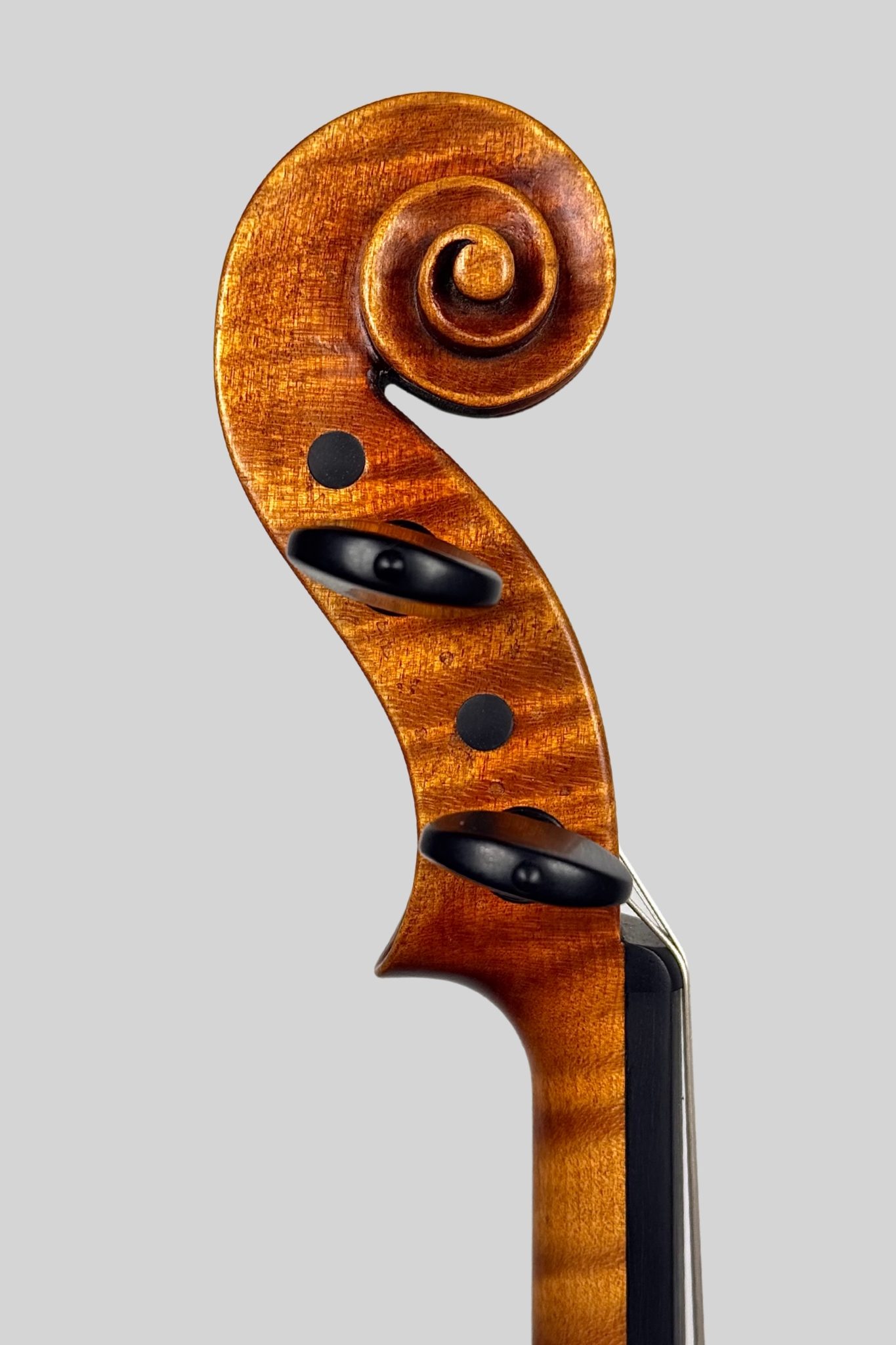 Guarneri ant violin maker handmade fine italian luthier violin5