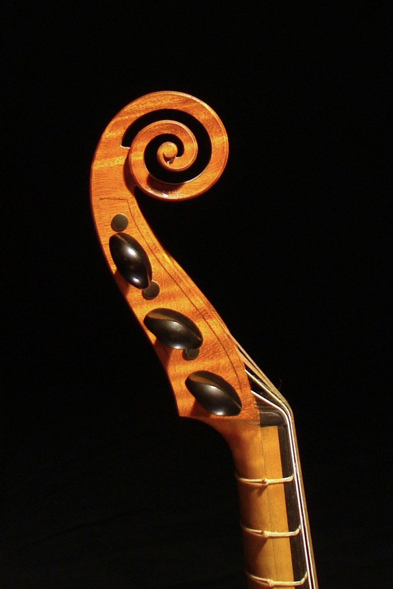 gamba violin maker luthier violin making Italy fine handmade6